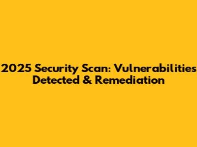 2025 Security Scan: Vulnerabilities Detected & Remediation