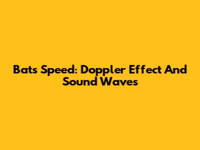 Bat's Speed: Doppler Effect And Sound Waves