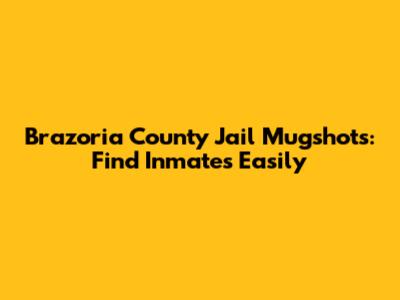 Brazoria County Jail Mugshots: Find Inmates Easily