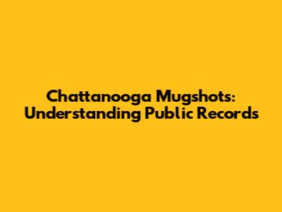 Chattanooga Mugshots: Understanding Public Records