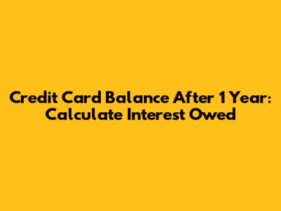 Credit Card Balance After 1 Year: Calculate Interest Owed