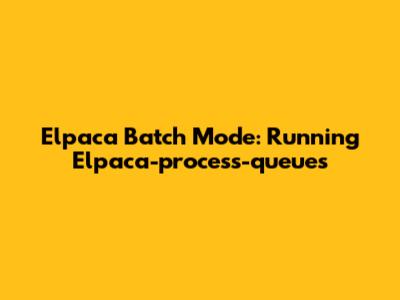 Elpaca Batch Mode: Running Elpaca-process-queues