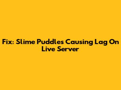 Fix: Slime Puddles Causing Lag On Live Server