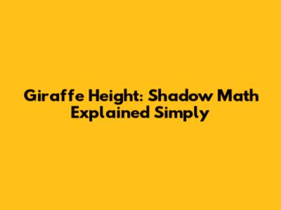 Giraffe Height: Shadow Math Explained Simply