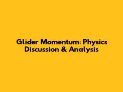 Glider Momentum: Physics Discussion & Analysis