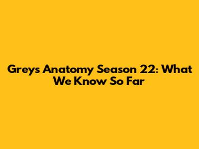Grey's Anatomy Season 22: What We Know So Far