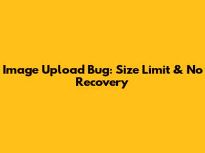 Image Upload Bug: Size Limit & No Recovery