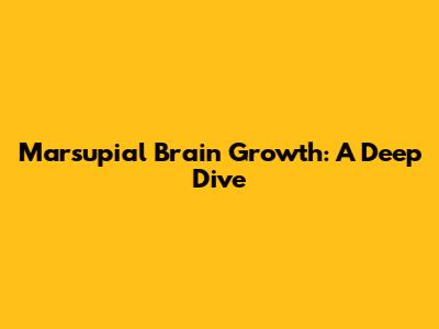 Marsupial Brain Growth: A Deep Dive
