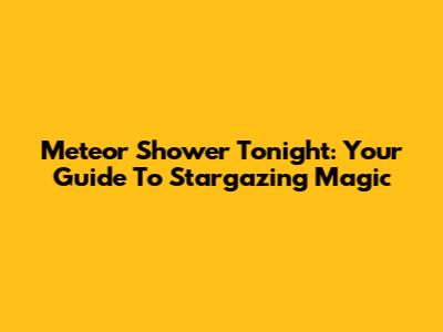 Meteor Shower Tonight: Your Guide To Stargazing Magic