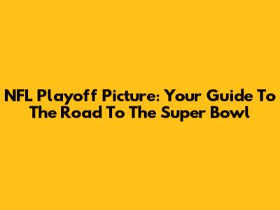 NFL Playoff Picture: Your Guide To The Road To The Super Bowl
