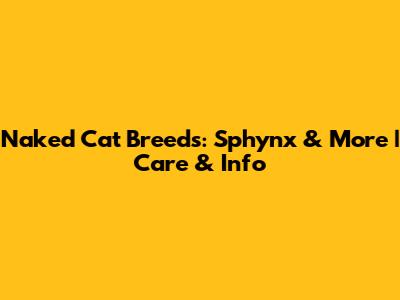 Naked Cat Breeds: Sphynx & More | Care & Info