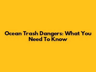 Ocean Trash Dangers: What You Need To Know
