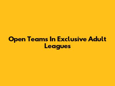 Open Teams In Exclusive Adult Leagues