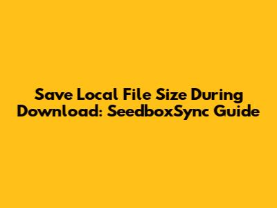 Save Local File Size During Download: SeedboxSync Guide