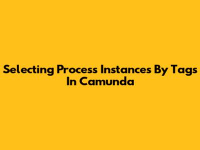 Selecting Process Instances By Tags In Camunda