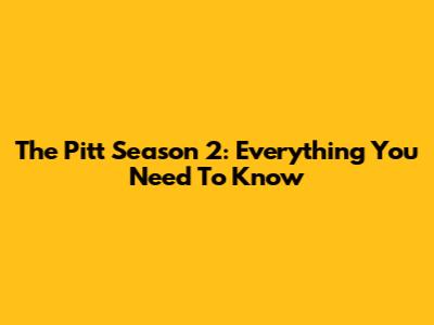 The Pitt Season 2: Everything You Need To Know