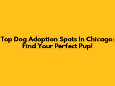 Top Dog Adoption Spots In Chicago: Find Your Perfect Pup!