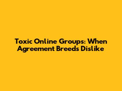 Toxic Online Groups: When Agreement Breeds Dislike