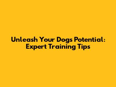 Unleash Your Dog's Potential: Expert Training Tips