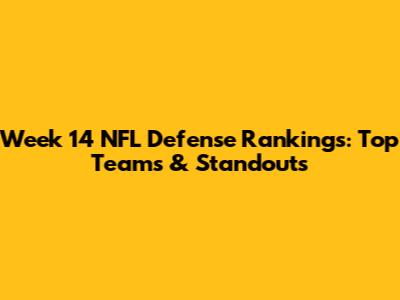 Week 14 NFL Defense Rankings: Top Teams & Standouts