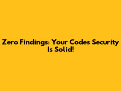 Zero Findings: Your Code's Security Is Solid!